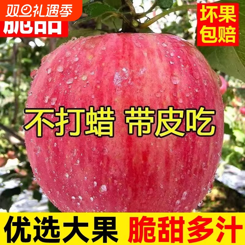 当季陕西红富士苹果新鲜水果脆甜冰糖心丑平果包邮斤整箱10大果