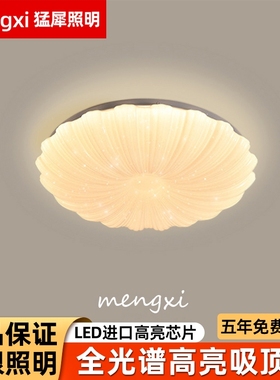 简约现代led吸顶灯家用家装大厅灯客厅灯长方形圆奶油风新款灯具