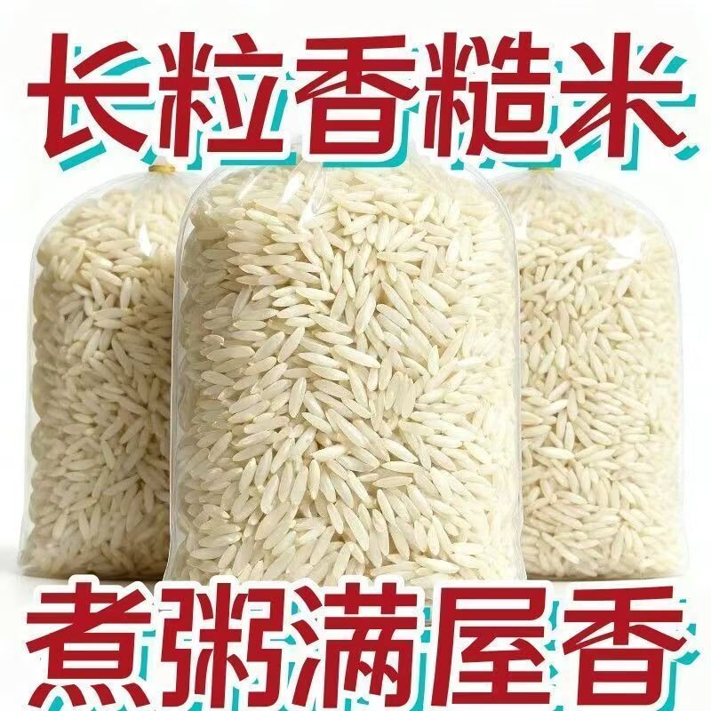 野生长粒香糙米全胚芽纯粗粮杂粮新米批发稻谷新鲜保留发芽