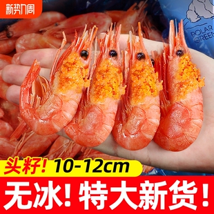 bq北极熊北极甜虾头籽北极虾冰虾海鲜水产虾鲜活速冻5斤刺身新鲜