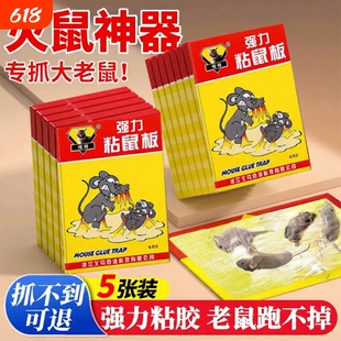 老鼠贴强力粘鼠板超强家用厨房灭鼠笼捕鼠神器正品一窝端加厚捕捉