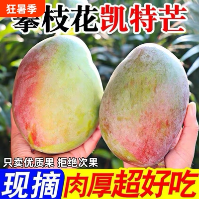攀枝花凯特芒果新鲜甜心芒当季孕妇水果现摘青皮芒特大果整箱包邮