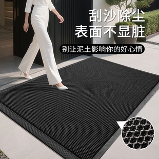 入户门地垫豪宅新款 高级感进门门口脚垫耐脏免洗防滑门垫门外地毯