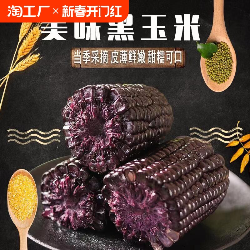 玉米无糖低脂非转基因黑玉米2024新鲜糯玉米即食真空包装孕妇早餐