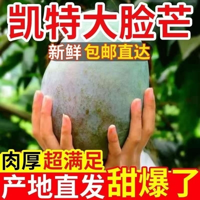 2025四川攀枝花凯特芒果新鲜应当季水果现摘现发无丝绿色大芒果