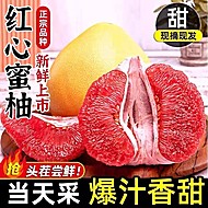 4.5斤正宗福建红心蜜柚子