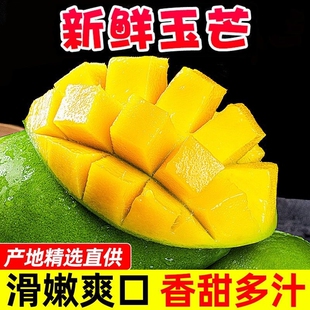精选越南玉芒新鲜芒果当季头茬当季水果整箱非贵妃芒凯特