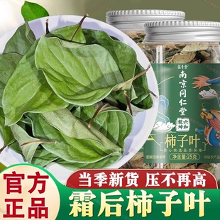 南京同仁堂霜后柿叶茶天然霜打柿子叶新鲜正品泡水官方旗舰店