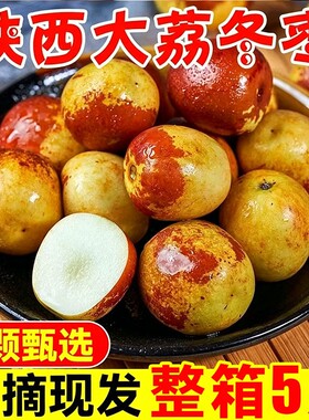 正宗大荔冬枣5斤新鲜大枣脆甜当季现摘水果冰糖大红枣子整箱包邮
