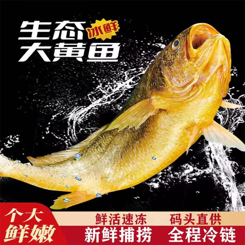 黄花鱼新鲜冷冻大黄鱼生鲜海鲜水产小黄鱼海鱼整箱鲜活冰鲜年货节
