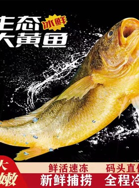 黄花鱼新鲜冷冻大黄鱼生鲜海鲜水产小黄鱼海鱼整箱鲜活冰鲜年货节