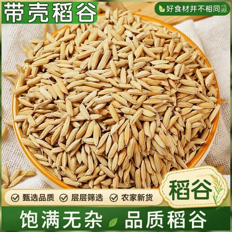 农家带壳稻谷谷子水稻稻子粮食喂鸡鸭鹅鸽鸟仓鼠宠物饲料农场优质