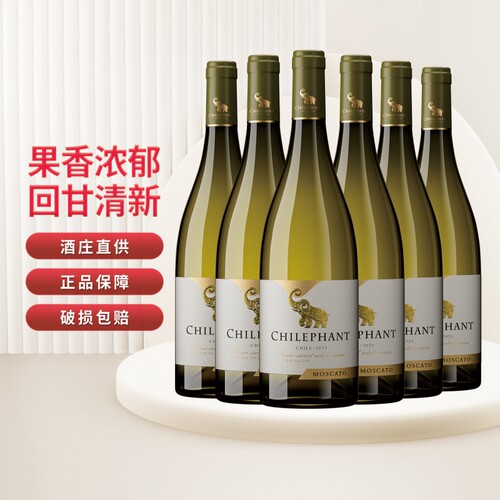 智利进口智象半甜白葡萄酒聚会