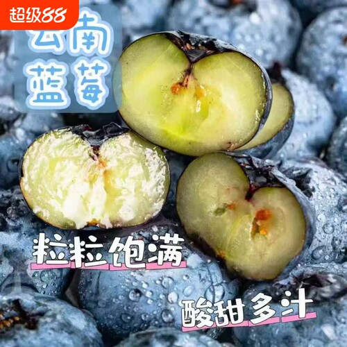 正宗云南高山花香蓝莓