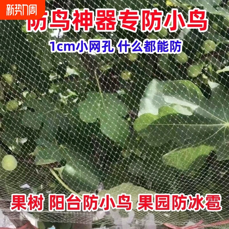1厘米专用防小鸟防鸟丝网网防冰雹网菜地阳台果园果树神器养殖