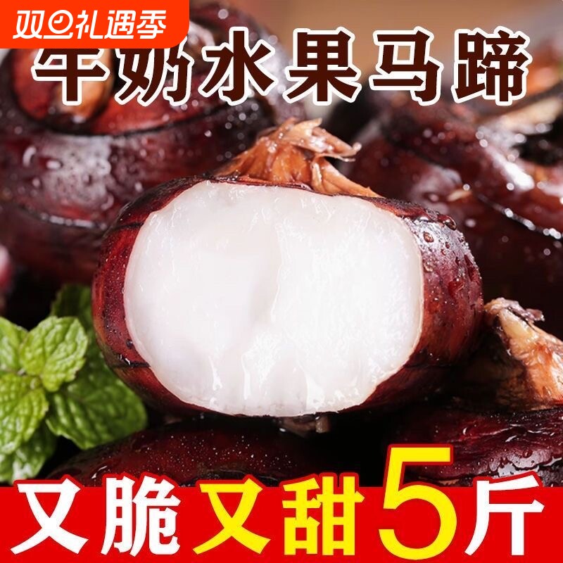 新鲜马蹄荸荠大果3斤5斤生吃水果蔬菜当季现挖荸荠脆甜爽口多汁
