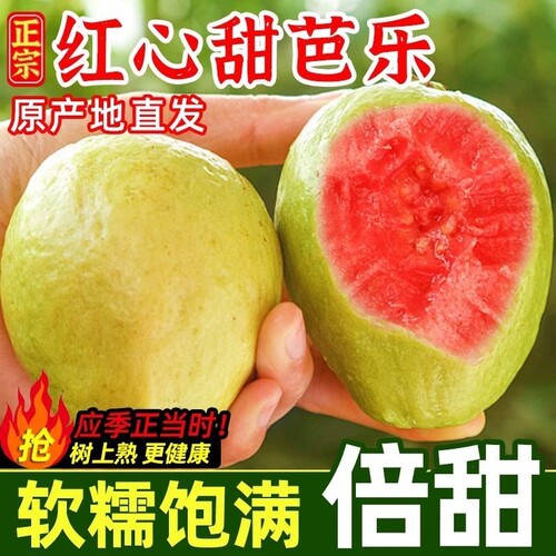 现摘红心芭乐奶油新鲜水果当季水果低糖树上熟应季自提软糯脆甜