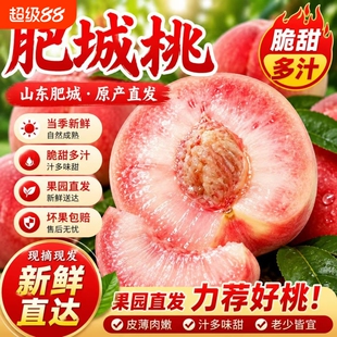 正宗肥城桃新鲜现摘大红袍玉妃大果整箱包邮鲜果礼盒装