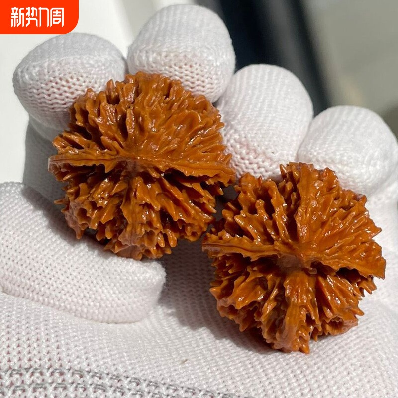 菊花大灯笼麻核桃型正配对好陕西秦岭文玩粗筋矮桩手把件元宝铁球