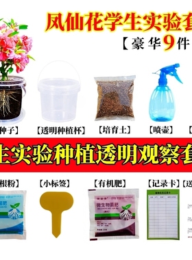 凤仙花种子套装小学生科学实验观察儿童种植小盆栽向日葵植物花种