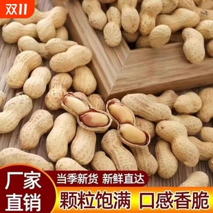 遇见枣恋红皮咸干花生500g*2袋