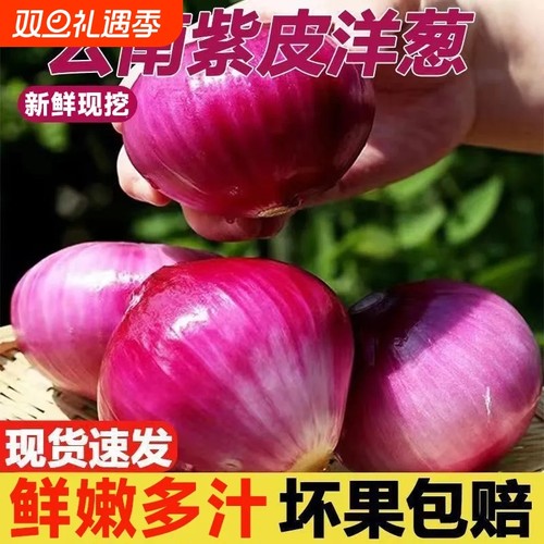 新货正宗东北小毛葱圆葱农家自种