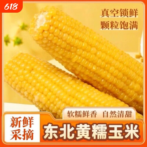 黄糯玉米东北粘糯玉米真空减脂轻食代餐低脂辅食新鲜香甜黄金传统