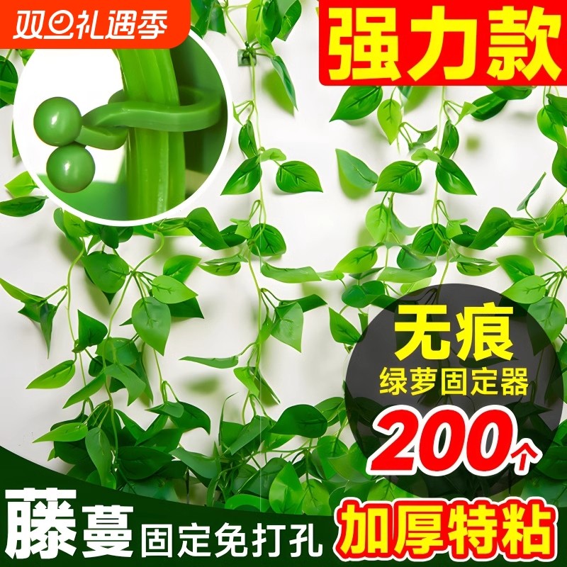 绿萝爬墙攀爬固定夹固定器