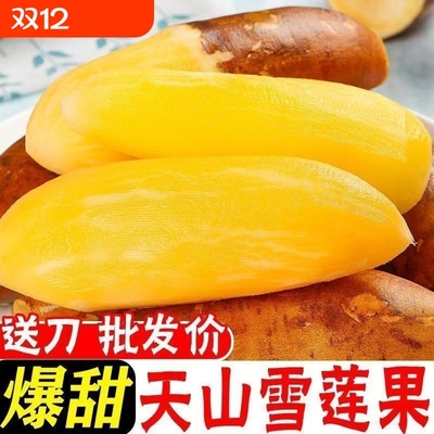 果蔬天山雪莲果特价低糖黄心脆甜多汁新鲜应季水果现清甜好吃