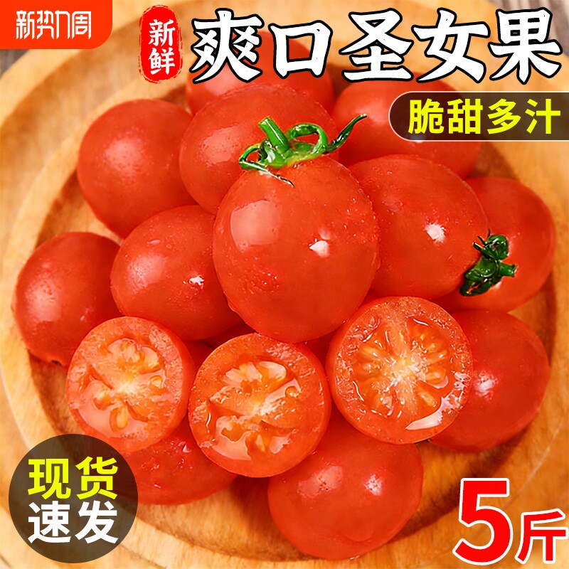 圣女果千禧小番茄新鲜5斤应当季水果现摘酸甜生吃正宗西红柿蔬菜3