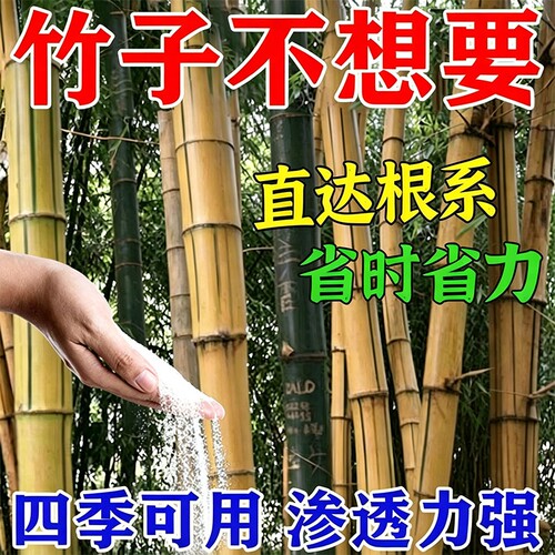 环嗪哃强力除大竹子专用一扫根乔木光灌木竹子药烂专用根药杀虫剂
