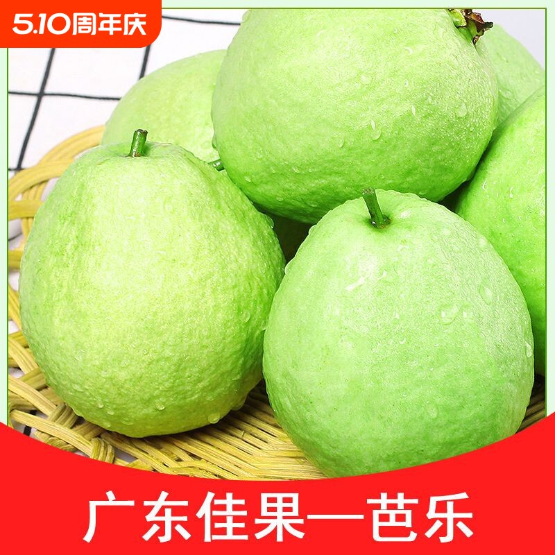 广东白心番石榴脆甜芭乐低糖分孕妇当季水果新鲜采摘批发【包邮】