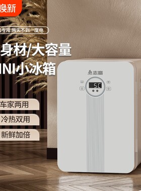 志高车载迷你小冰箱小型家用租房用制冷藏宿舍单人大容量玻璃门