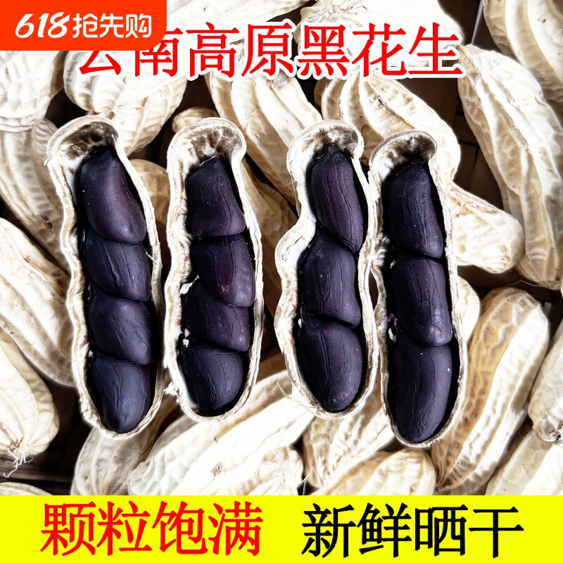 富硒黑花生带壳2025云南普洱特产晒干生熟花生米新货黑皮花生米