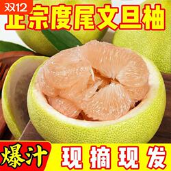 度尾文旦柚产地直发当季新鲜柚子当季水果应季时令摘现发好吃爆汁