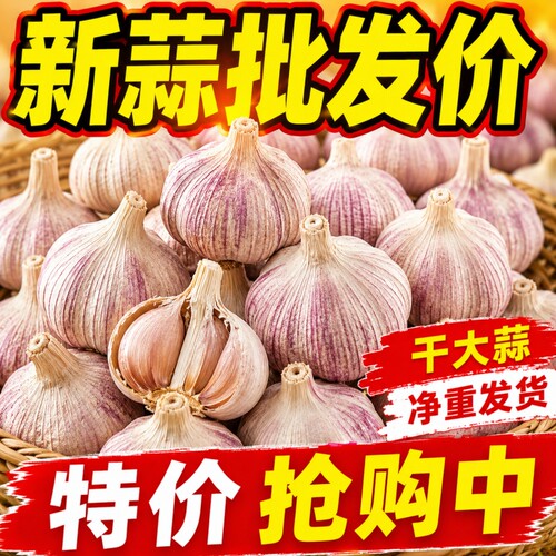 2026特大干蒜邳州紫皮大蒜头新干蒜大蒜大蒜头批发整箱新鲜大蒜头