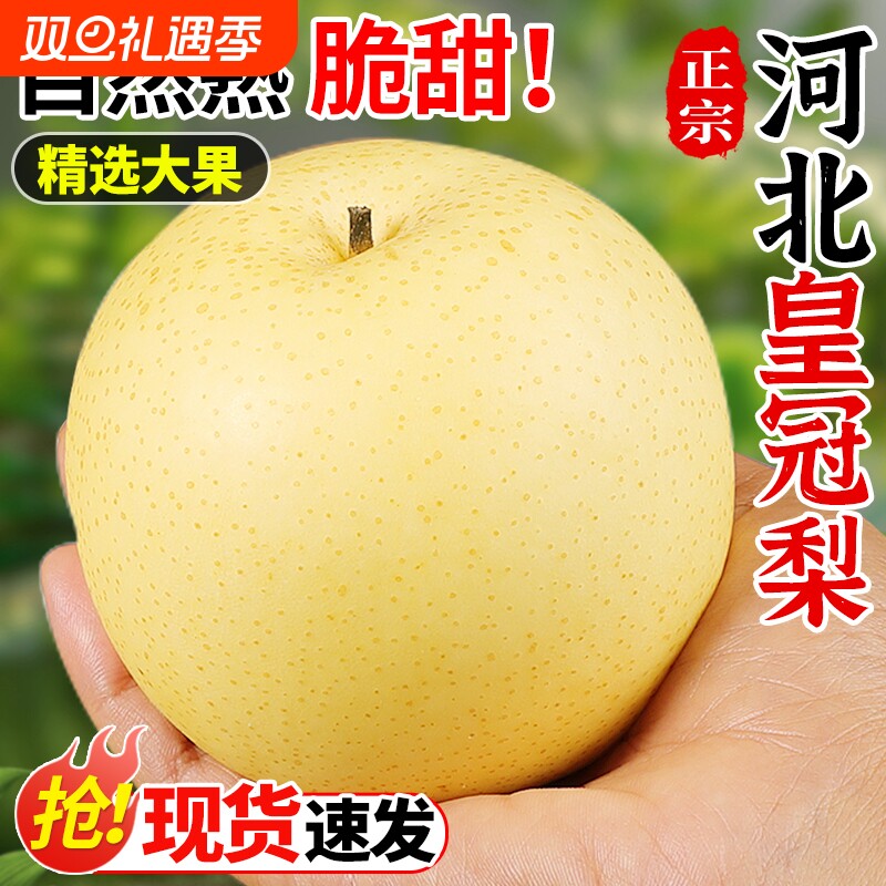 【9斤皇冠梨钜惠装】脆甜无渣