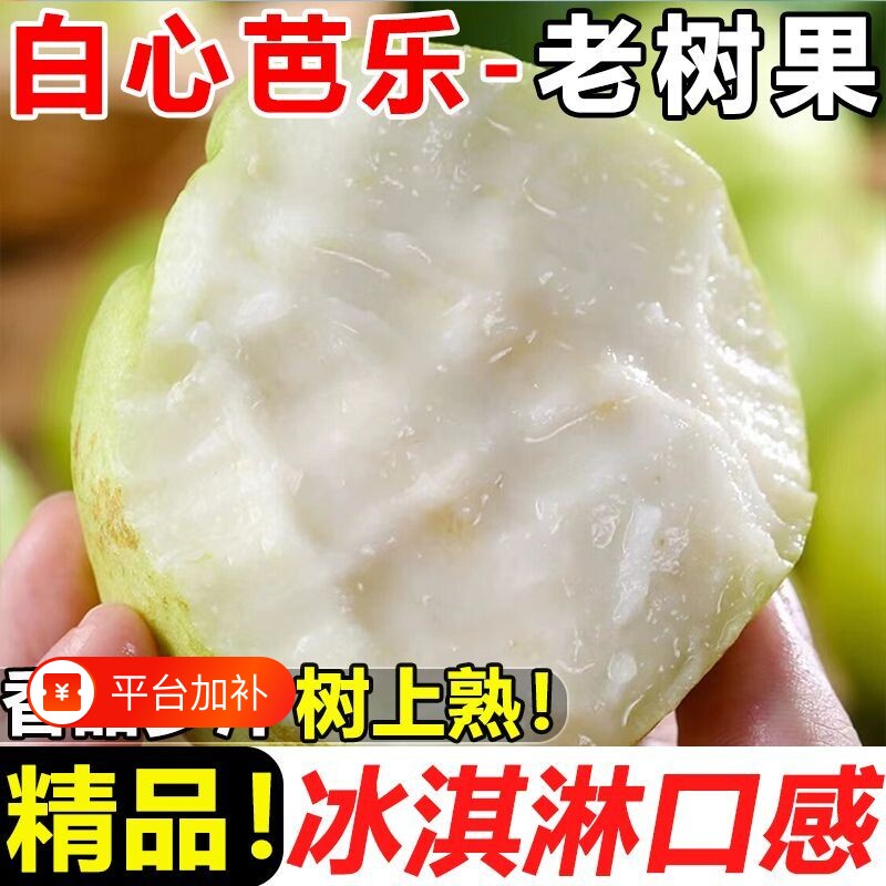 广东软糯奶油冰淇淋口感番石榴新鲜应季水果芭乐白心低糖奶油口感
