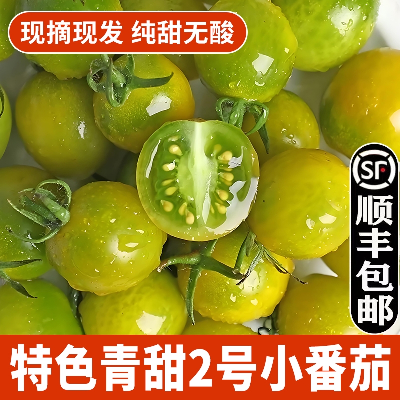 正宗青甜2号小番茄新鲜绿色圣女果现摘现发超甜小西红柿顺丰包邮