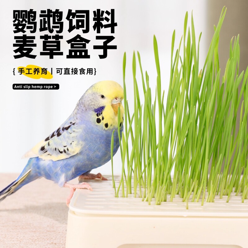 鹦鹉可食用草籽麦芽草零食虎皮鹦鹉专用小鸟玩具解闷自嗨用品大全