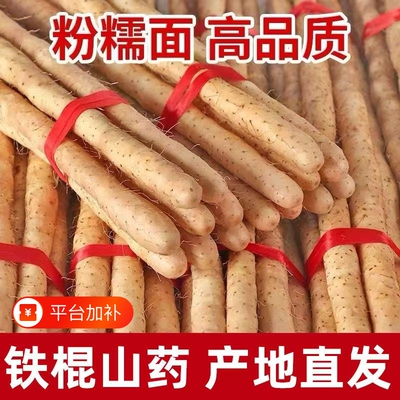 河北特产铁棍山药产地直发