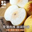 安徽特产现摘砀山酥梨新鲜梨子带箱9斤水果梨整箱汤山 雪时令 包邮