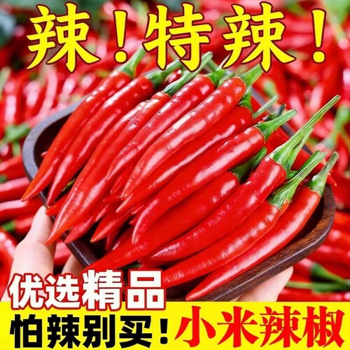 小米辣【现摘现发】新鲜特辣小米椒红辣椒朝天椒指天椒泡椒辣椒酱