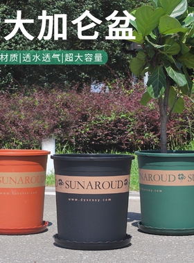 7加仑花盆2025塑料大口径专用盆6高档树脂种植带托盘庭院超大控根