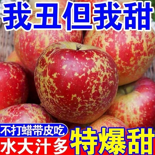 超稀有冰糖心苹果 丑苹果新鲜现摘红富士脆甜苹果一整箱批发价