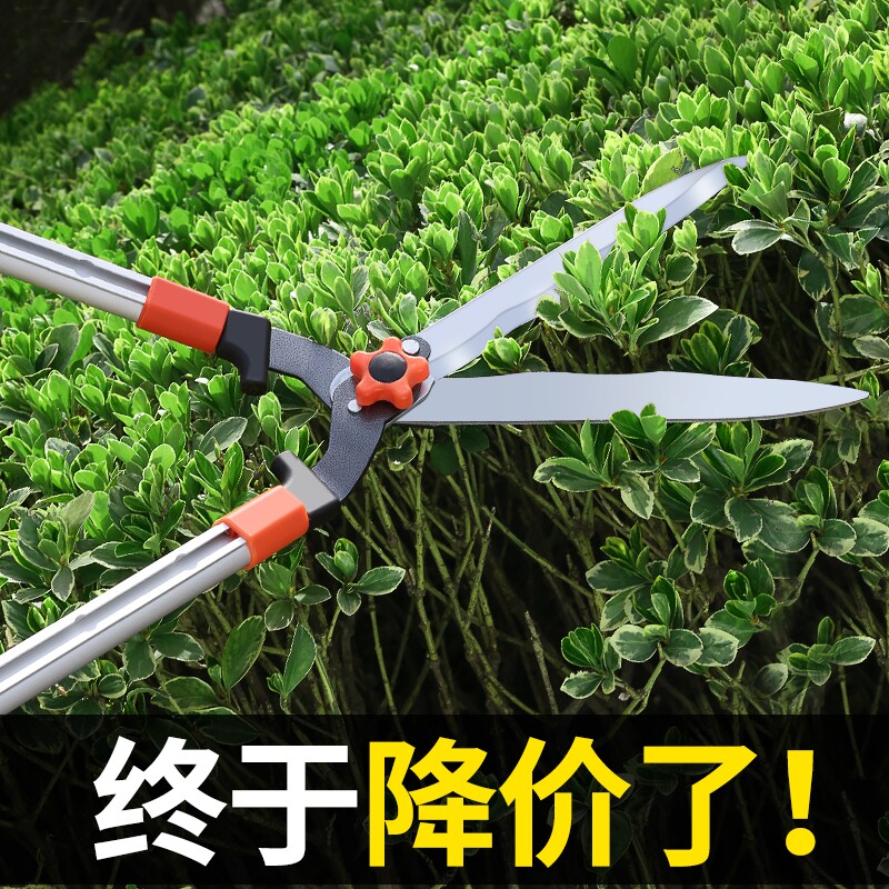 正齐加长加固伸缩款双刃口草坪剪图片