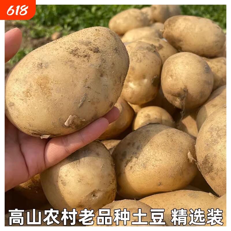 土豆新鲜农家自种黄心土豆现挖黄皮土豆精选发货口感软绵密