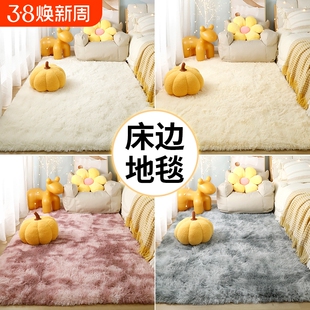 卧室地毯地垫毛毯床边毯新款家用坐垫少女房间客厅茶几毯沙发阳台