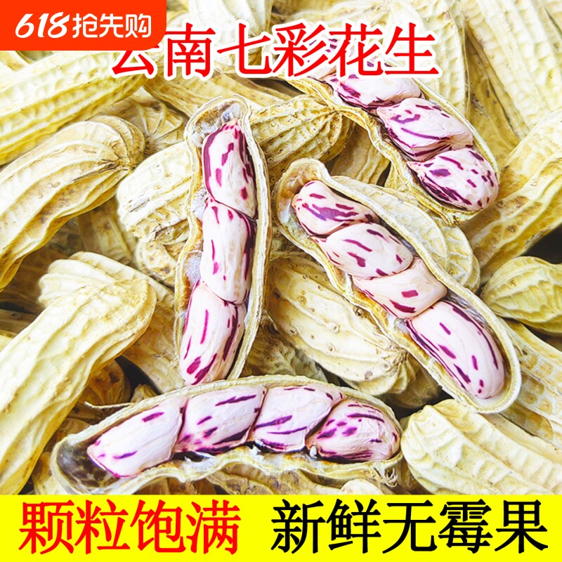 2025七彩花生云南特产水煮咸干五彩花生米晒干带壳健康新鲜散装