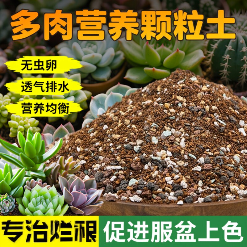 多肉土专用营养土肉肉颗粒土植物种植土铺面石叶插家用泥炭土大包